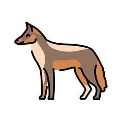 Jackal color line illustration. Animals of Africa.