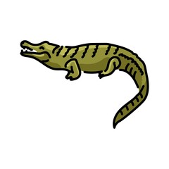 Crocodile color line illustration. Animals of Africa.
