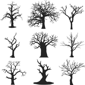 Dead tree silhouettes dying black scary trees forest illustration natural dying old tree of set 