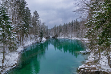 deeply blue lake in the forest (Bavaria, Germany)