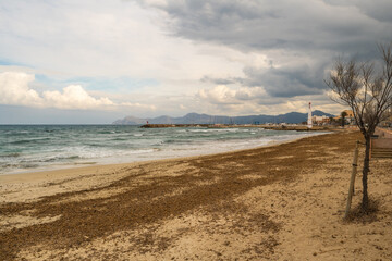 Fototapeta na wymiar kleiner Hafen mit Trockendock und Strand von Can Picaford auf Spaniens Insel Mallorca