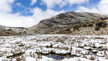 Moors, mountains, snow and lakes in the Los Nevados National Natural Park, in Manizales Caldas Colombia.