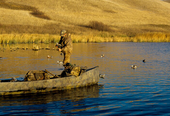 Obraz premium A waterfowl hunter setting decoys in the shallows 