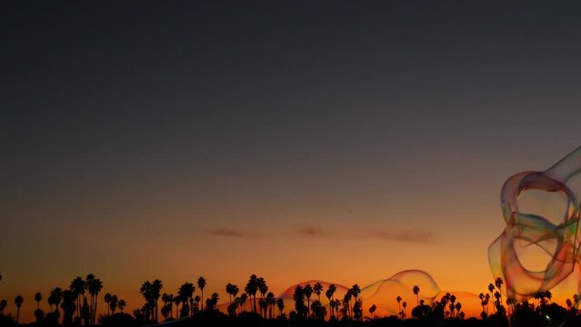 Palm trees silhouettes on sunset ocean beach, giant big soap bubbles, California coast, USA. Purple orange sky, Mission Bay Park, San Diego, tropical sundown. Huge colorful soap foam in wind breeze.