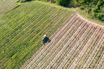 Bird's-eye view of a vintner in his vineyard at work in Rheinhessen/Germany