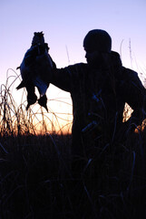 A silhouette of a hunter and ducks. 