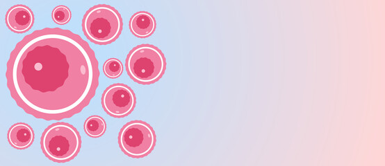 Gradient background with oocytes and copy space. Concept banner or template egg donation, female infertility treatment