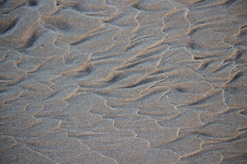 Textura de arena de playa