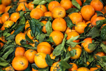 Fresh tangerine fruits with leaves as background, mandarin top view