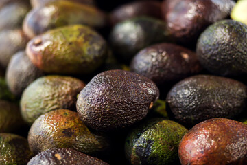 Pile of avocado for sale. Fruit background