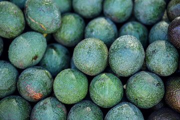 Pile of avocado for sale. Fruit background