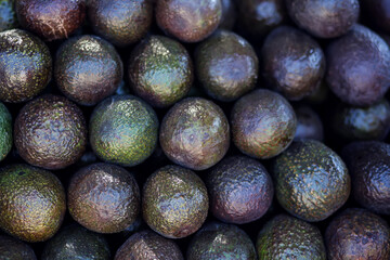 Pile of avocado for sale. Fruit background