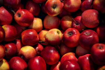 Red apples background. Fresh apples for sale