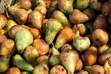 Pears background. Healthy organic fresh produce