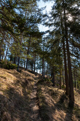path in the mountains (Austria)