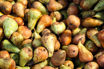 Pears background. Healthy organic fresh produce