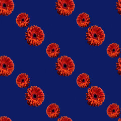 seamless diagonal pattern of bright gerbera flower on a deep blue background