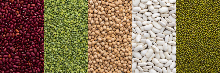 Different types of legumes banner, chickpeas and mung beans, white and red beans and green peas , top view