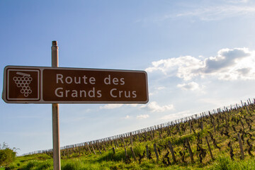 Nuits Saint Georges, France, April 15, 2022. Sign indicating the Route des Grands Crus in front of vineyards. T
