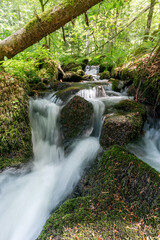 Fototapeta premium Cascade de la Serva