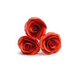 Red roses were placed against a white background.