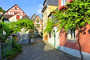 Cozy leafy medieval street with half timbered houses, Rhine region, Germany