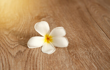 Fototapeta na wymiar frangipani flowers on wood table