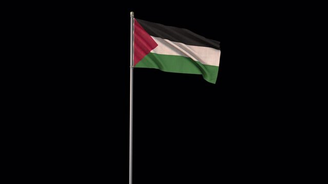 Palestine flag, 4k video background is transparent
