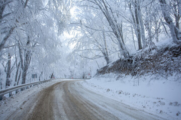 Road in Sabaduri forest with covered snow. Winter time. Landscape