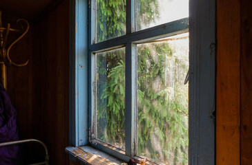 The attic of an old wooden house. Large spruce behind the dirty glass. Sunny morning.	