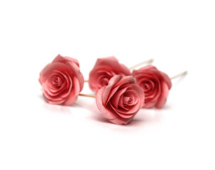 Several roses were placed on a white background.