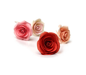 Several roses were placed on a white background.