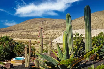 Foto auf Acrylglas Strand Sotavento, Fuerteventura, Kanarische Inseln Schöne Kakteengartenterrasse, Whirlpool, trockener, trockener Hügelhintergrund, blauer Sommerhimmel - Sotavento Beach, Fuerteventura