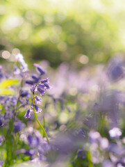 Standing out amongst the crowd