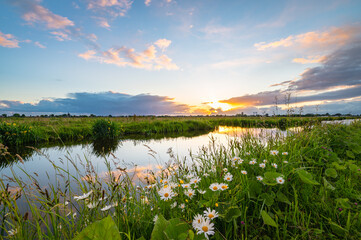 The sun sets over the Dutch polder landscape near Gouda, Holland - obrazy, fototapety, plakaty