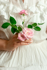 A girl in a white dress sits on a chair and holds a freshly picked pink rose. Wedding concept. Creative idea.