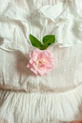 Fresh pink picked rose, hung on a white dress. Wedding concept. Creative idea.