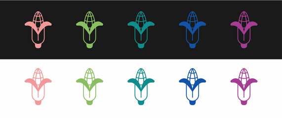 Set Corn icon isolated on black and white background. Vector