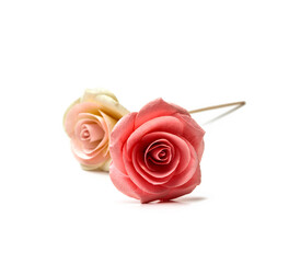 Two two colored roses placed on a white background.