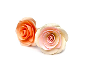 Two two colored roses placed on a white background.
