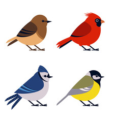 Set Of Different Beautiful Birds Vector Illustration In Flat Style