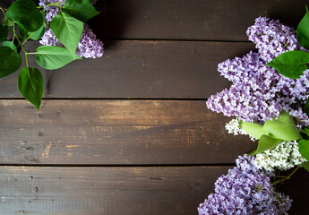 purple lilac on dark brown wooden ground background