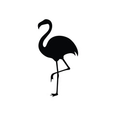 Flamingo silhouette design vector