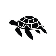 Turtle design isolated on white background