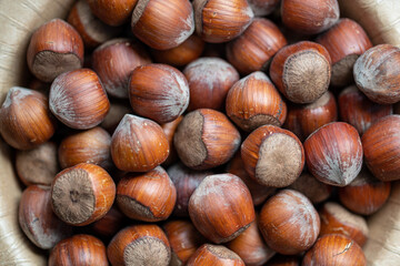 hazelnut in a wooden bowl close up