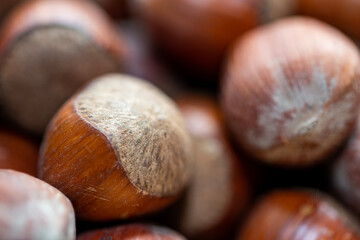 hazelnut in a wooden bowl close up