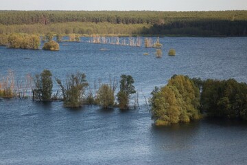 Spring Flood On The Desna River. Mezynsky National Nature Park, Chernihiv Region, Ukraine