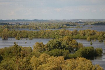 Fototapeta na wymiar Spring Flood On The Desna River. Mezynsky National Nature Park, Chernihiv Region, Ukraine