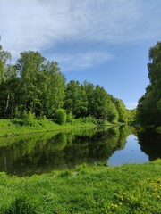 Forest with a lake. Beautiful summer landscape with blue water and green trees and green grass. Beautiful blue sky with light clouds. Photo for backgrounds, templates.