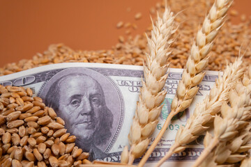 Dollar against the background of wheat grains. The concept is the global food crisis, exports, imports. The issue of harvest in different countries of the world, the impact of sanctions.